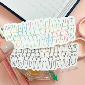 autocollants d'anatomie dentaire, autocollants dentaires pour ordinateur portable, autocollants de dents pour bouteille d'eau, cadeau étudiant en dentisterie, cadeaux rda, cadeaux rdh, STEM