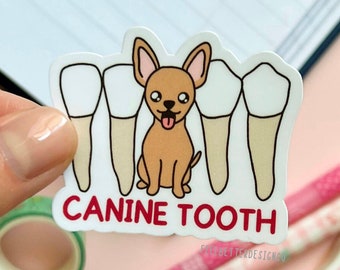 dental sticker for laptop, teeth sticker funny, dentistry sticker for phone, rdh gift for student, dentistry gift for dental nurse, RDA gift