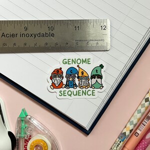 May include: A sticker with a cartoon illustration of four gnomes wearing glasses and hats. The gnomes are lined up in a row and each gnome has a letter on their hat: A, C, G, and T. The text "GENOME SEQUENCE" is below the gnomes.