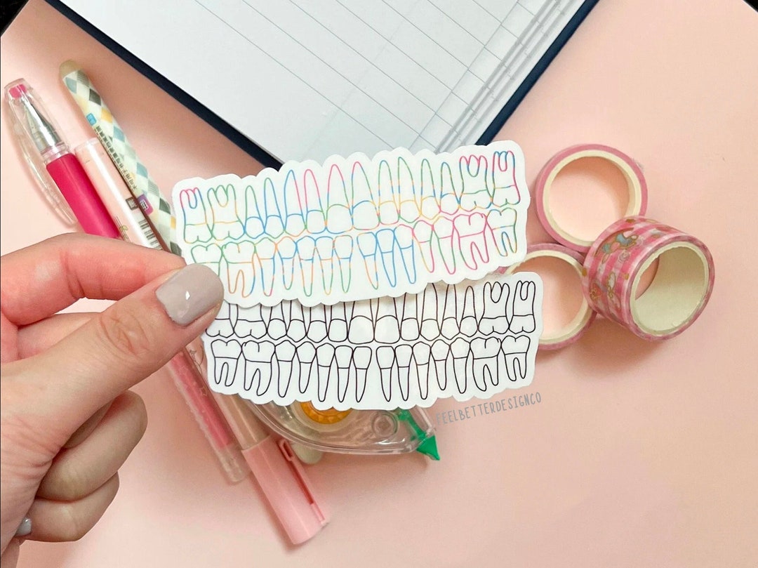Dental Anatomy Stickers, Dental Stickers for Laptop, Teeth Stickers for