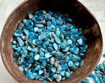 Blauer Apatit Kleines Kristall-Lot | Neonblaue Apatit-Tumbed-Chips | Kristallkonfetti | Kristalle