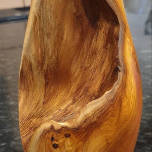 Pode incluir: Um vaso de madeira com uma forma natural e orgânica, de cor castanho quente. O vaso tem uma superfície única e texturizada com padrões de grão visíveis.