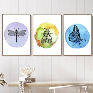 Set of 3 - Multi Coloured Moth, Blue Butterfly, and Lavender Dragonfly Digital Downloadable Print