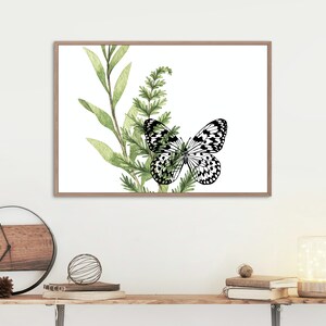The Glass Wing Butterfly - Download digitale PNG stampabile