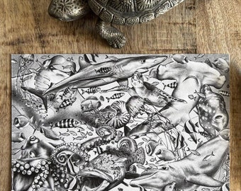 The Under The Sea Postcard