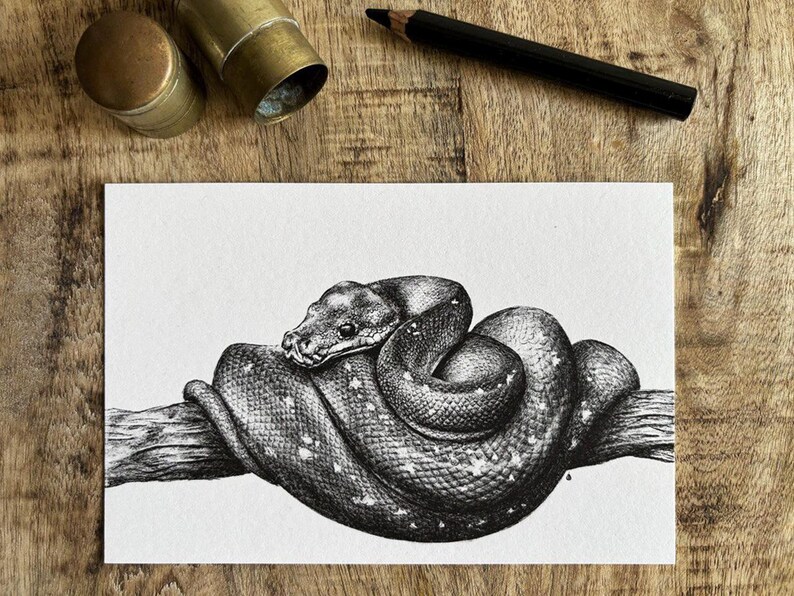 Puede incluir: Un dibujo en blanco y negro a pluma y tinta de una serpiente enroscada alrededor de una rama.
