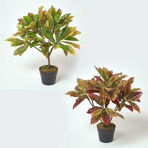 May include: Two artificial Croton plants in black pots. One has green and yellow leaves, the other red, yellow, and green. The plants sit on a white background. The leaves have a distinctive pattern.