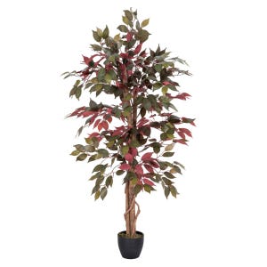 May include: Artificial ficus tree with a brown trunk and green and red leaves in a black pot.