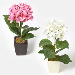 May include: Two artificial hydrangea plants in pots. The plant on the left has pink flowers and a black pot. The plant on the right has white flowers and a white pot.