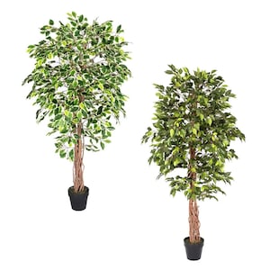 May include: Two artificial potted ficus trees, one with variegated leaves and one with solid green leaves. Both trees have a brown, twisted trunk and are potted in black pots.