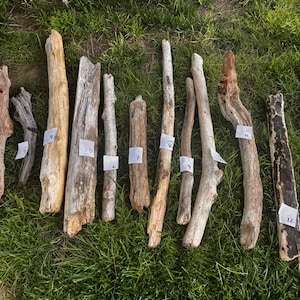 May include: A collection of 13 driftwood sticks, each with a unique shape and texture, laid out on a bed of green grass. The sticks are numbered 1 through 13, with the numbers written on small white pieces of paper.