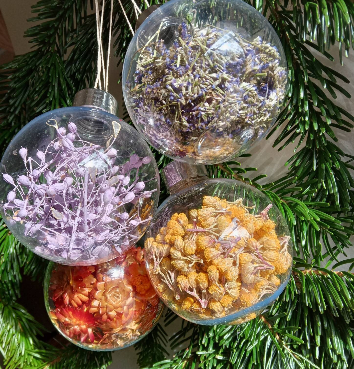 Boules de Noël avec Des Fleurs Séchées Colorees