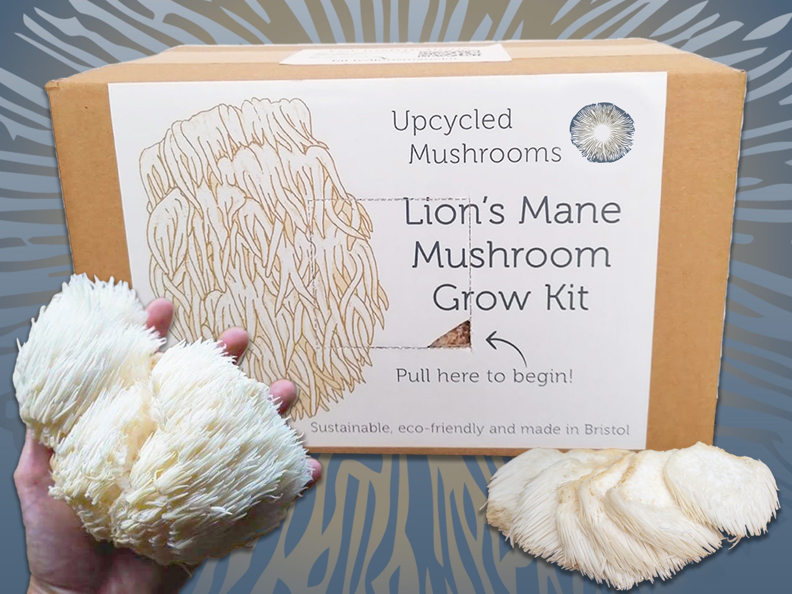 Lion\u0026#39;s mane mushroom grow kit ready to fruit unusual | Etsy
