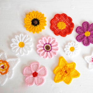 Delicate Floral FSL Embroidery Designs, 8 Flower FSL Designs