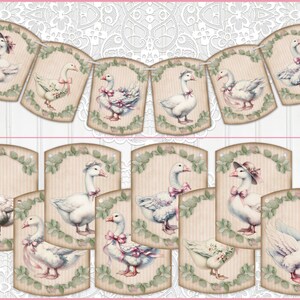 Goose Banner, Garland, Goose Bunting, Party Decor
