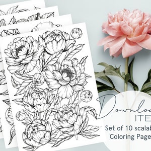Cross and Roses Coloring Book: Devotional and Relaxing Art for Adults [Book]