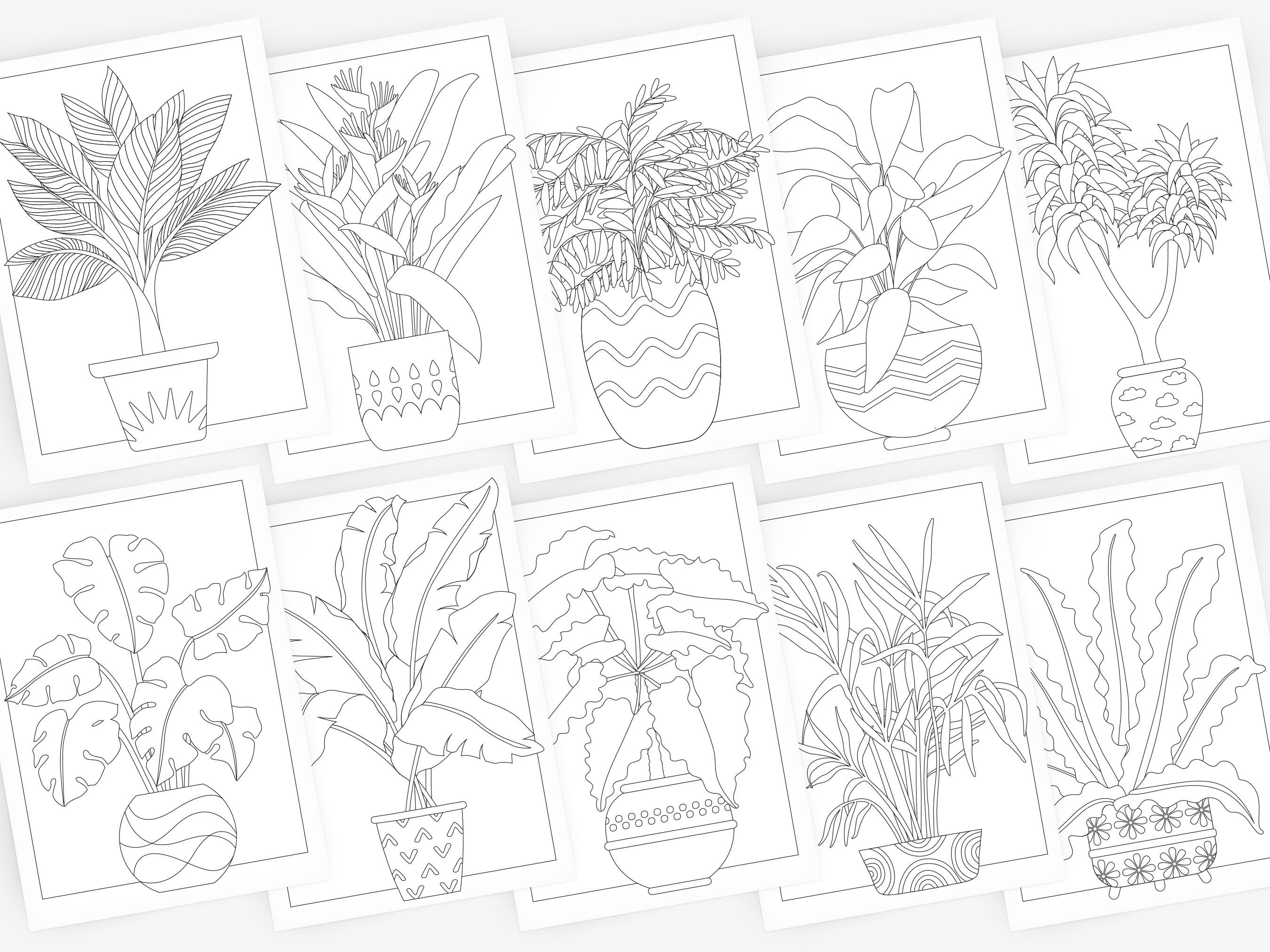 Plant Coloring Pages for Adults: Houseplant Heaven Set 3 of 6 - Etsy