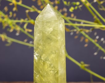 Citrine Crystal Point - Citrine Crystal Wand for Crystal Healing - Citrine Crystal Tower for Meditation