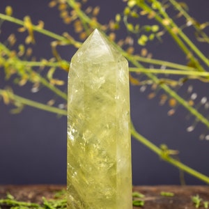 Citrine Crystal Point - Citrine Crystal Wand for Crystal Healing - Citrine Crystal Tower for Meditation