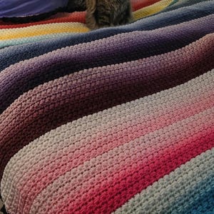 May include: A multi-colored crocheted blanket with a gradient of colors, including pink, blue, purple, and brown. A cat is sitting on the blanket.