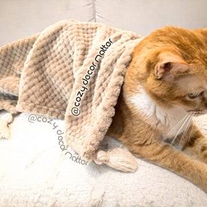 Cozy Cat throw blanket with tassel, macrame fleece pet sofa cover protector, velvet cat cape custom, personalized cat owner Christmas gift