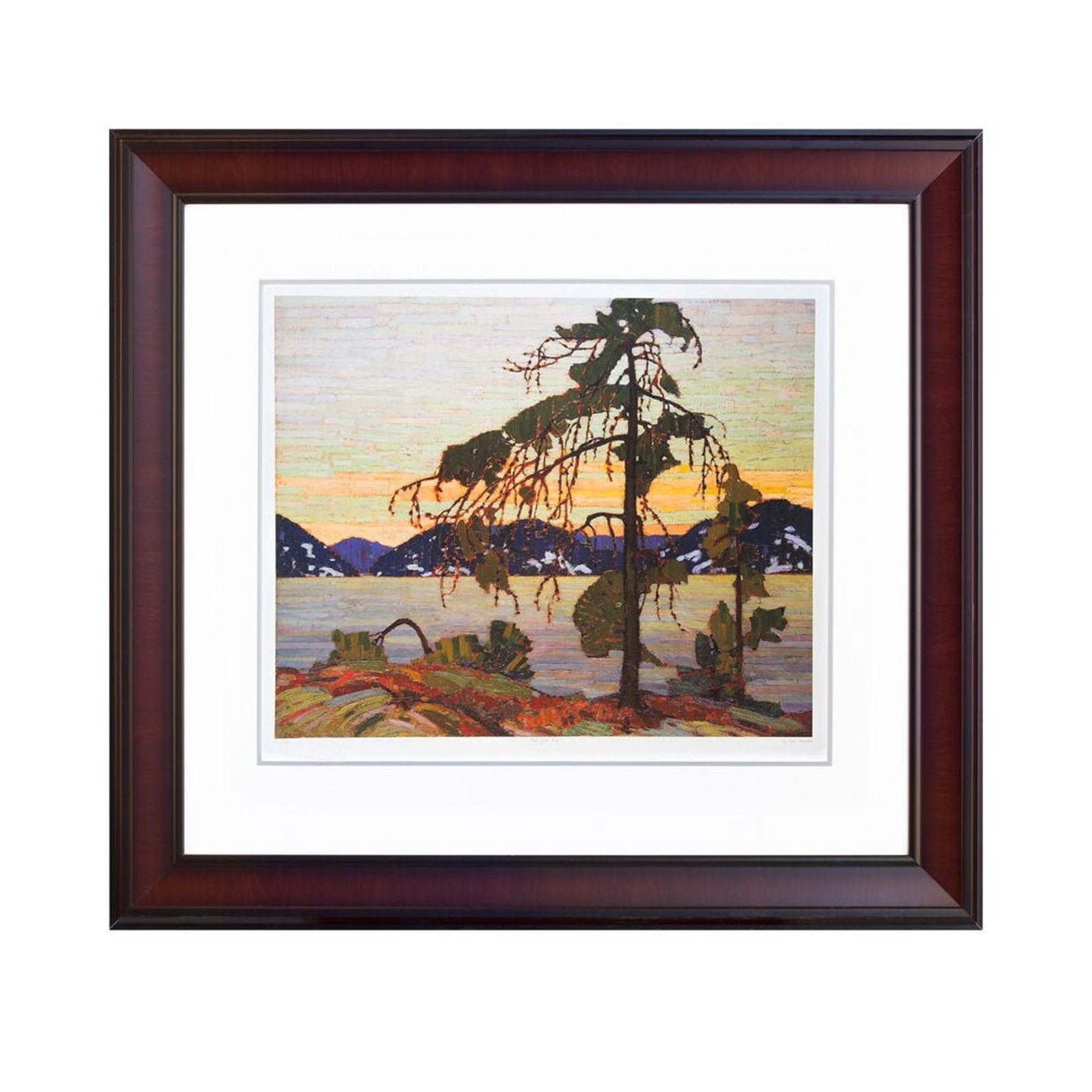 Jack Pine by Tom Thomson Framed Etsy