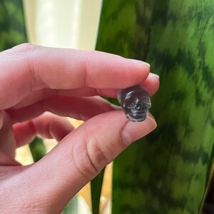 May include: A small, translucent, gray skull figurine. The skull is held between fingers, with a green and yellow patterned plant in the background. The skull is detailed with eye sockets, a nose cavity, and teeth.