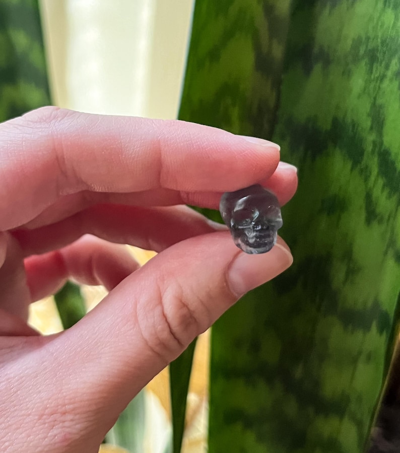 May include: A small, translucent, gray skull figurine. The skull is held between fingers, with a green and yellow patterned plant in the background. The skull is detailed with eye sockets, a nose cavity, and teeth.