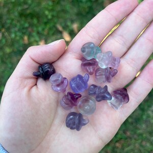 May include: A collection of small, polished fluorite gemstone carvings in various shades of purple, lavender, and clear. The carvings are held in an open hand against a blurred green background. The carvings are shaped like small pumpkins.