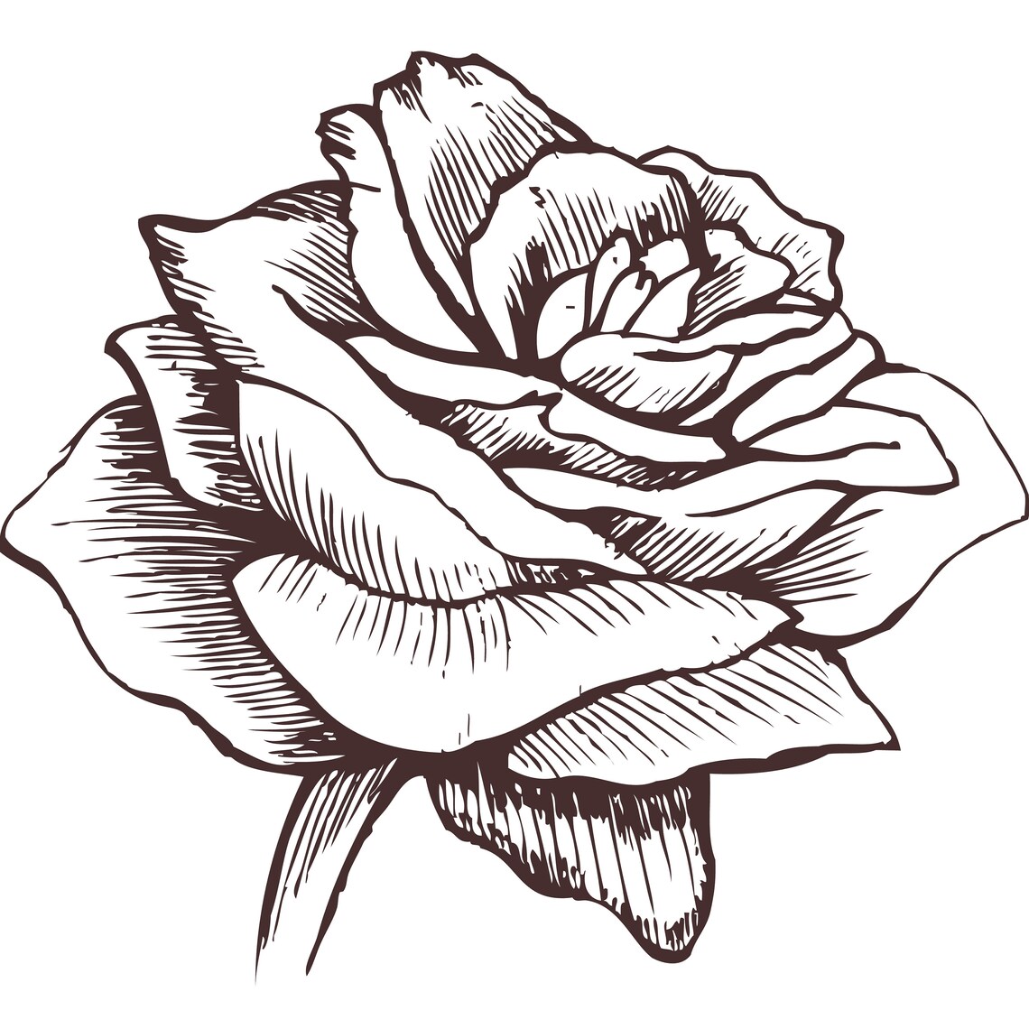 Beautiful floral plant coloring page