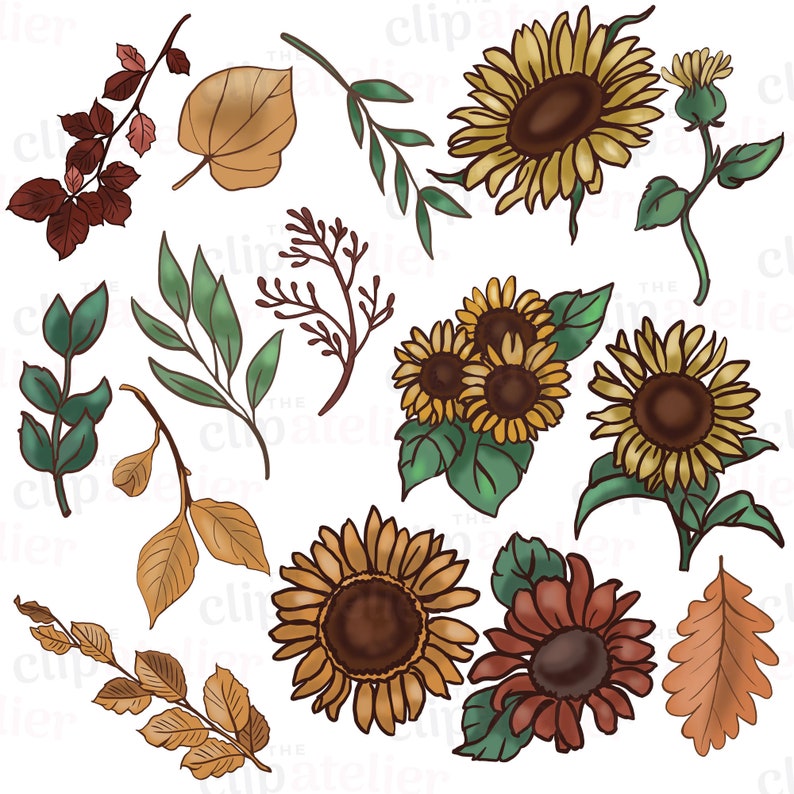 May include: A selection of watercolour illustrations showcasing sunflowers, leaves, and branches in yellow, brown, green, and burgundy. The botanical elements are arranged in a scattered pattern, ideal for digital art or craft projects.