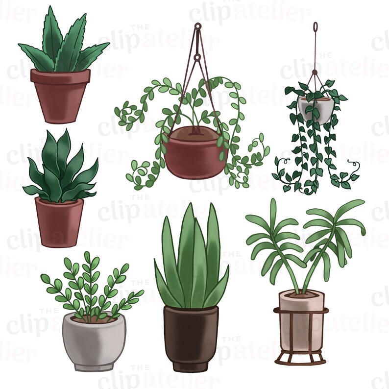 May include: A set of seven illustrated houseplants in various pots. The plants include a hanging plant, a snake plant, a succulent, and a fern. The pots are brown, gray, and white.