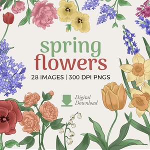 Clipart fleurs de printemps | Dessins botaniques PNG à télécharger | Clipart floral, utilisation commerciale de graphiques de fleurs, téléchargement numérique