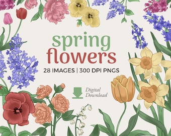 Spring Flowers Clipart | A Collection of Botanical Floral illustrations (PNG Download)