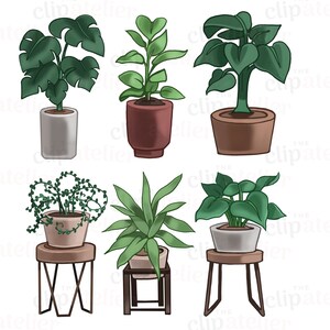 May include: Six potted plants with various green leaves. The plants are in different colored pots and some are on small black or brown metal stands.