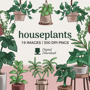 Ilustraciones prediseñadas de plantas de interior / Plantas en macetas PNG Descargar / vegetación de interior, uso comercial de gráficos botánicos, descarga instantánea png