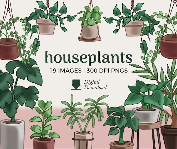 Houseplants Clipart | Indoor Potted Plant Illustration Collection (PNG Download)