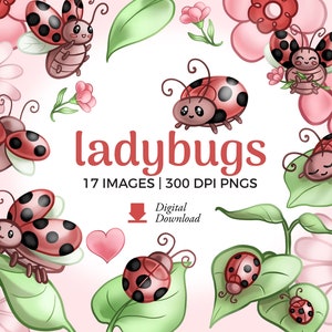 Illustrazioni clipart di coccinelle / Clip art di coccinelle carine da scaricare / file png di fiori, grafica primaverile, immagine arcobaleno, download per uso commerciale