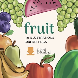 Ilustrações de clipart de frutas | Vários clipart de frutas Download instantâneo | Clipart de maçã, banana e melancia | gráficos de frutas coloridas