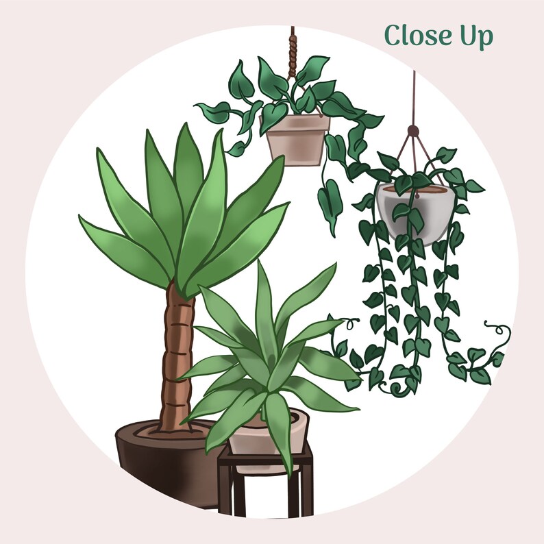 May include: A close-up of four potted plants. Two hanging plants with green leaves and white pots. A tall plant with green leaves and a brown pot. A smaller plant with green leaves and a brown pot on a black stand. The text "Close Up" is in the top right corner of the image.