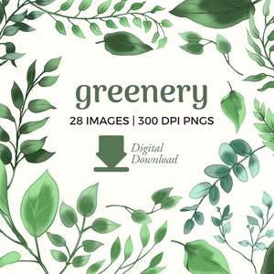 Greenery PNG Clipart | Botanical Herbs, Leaves & Foliage Illustrations (Digital Download)