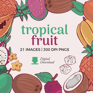 Tropical Fruit Clipart | Mango, Coconut, Lychee & Durian Illustrations Fruit (Digital Download)