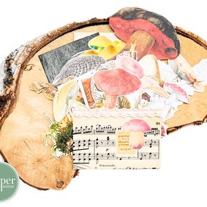 kit per journaling sui funghi / ritagli misti / set per journaling / scrapbooking / posta ordinaria / carte effimere / funghi