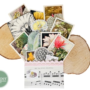kit di diario cactus / ritagli misti / set di diario / scrapbooking / posta ordinaria / carte effimere / floreale / Verkade