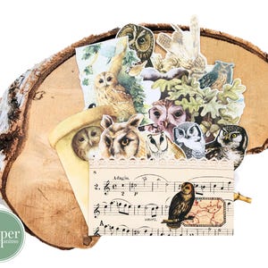 Kit per journaling con gufi / ritagli misti / set per journaling / scrapbooking / posta ordinaria / carte effimere / fauna / uccelli