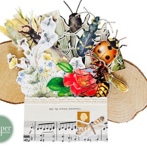 kit di journaling insetti e coleotteri / ritagli misti / set di journaling / scrapbooking / posta ordinaria / carte effimere