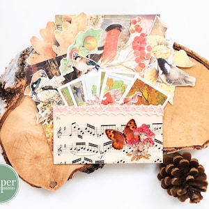 kit di journaling autunnale / autunno / ritagli misti / set di journaling / scrapbooking / posta ordinaria / effimeri di diario spazzatura / carta