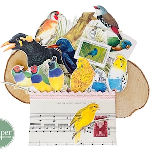 kit di diario di uccelli esotici / ritagli misti / set di diario / scrapbooking / posta ordinaria / carte effimere / fauna / canarini
