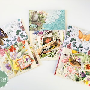 Kit de diario de primavera grande / A5 / Papel vitela / Páginas de libros antiguos / Recortes / Verkade y naipes / Flores, pájaros, bulbos