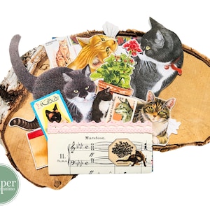kit di diario gatti / ritagli misti / set di diario / scrapbooking / posta ordinaria / carte effimere / fattoria / famiglia / animali domestici